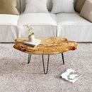 Kesha Coffee Table