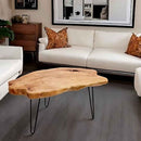 Kesha Coffee Table