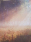 Misty Morning Designer Printed AIDA Fabric. Canvas for embroidery with an applied background  KF-1055A