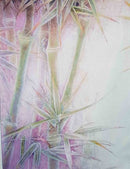 Bamboo Grove Designer Printed AIDA Fabric. Canvas for embroidery with an applied background  KF-1083A