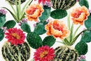 Stylish Cactus Flowers Wallpaper