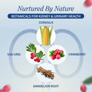 Kidney Health