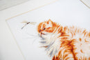Kitten with a dragonfly B2270L Counted Cross-Stitch Kit
