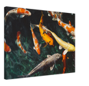 Koi Fish - Print