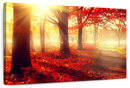 Bright Red Forest Wall Art