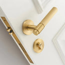 Kuzbu Handle and Lock