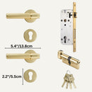 Kuzbu Handle and Lock