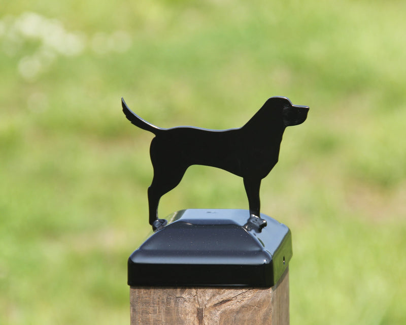 4x4 Labrador Post Cap (Fits 3.5 x 3.5 Post Size)