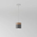 Laetus Pendant Light - Open Box