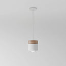 Laetus Pendant Light - Open Box