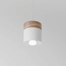 Laetus Pendant Light - Open Box