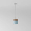 Laetus Pendant Light - Open Box