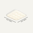 Laoise Ceiling Light