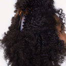 Black & Tort Dome Claw Clips 2pc Set - Large