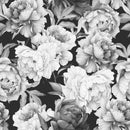 Large Peony on Black Background Wallpaper Mural
