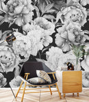 Large Peony on Black Background Wallpaper Mural