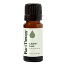 Laurel Leaf Essential Oil