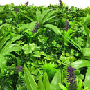 Sample Panel – Lavender Fields Green Wall (Small Sample)