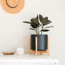 1st Generation, Solid Goods Ceramic Cylinder– With or Without Square Mahogany Stand (FINAL SALE)