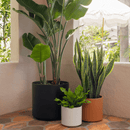 1st Generation, Solid Goods Ceramic Cylinder– With or Without Square Mahogany Stand (FINAL SALE)