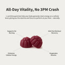 L-Carnitine Sugar-Free Blueberry Gummies