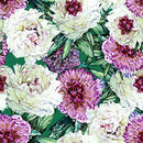 Pink and White Peonies Wallpaper