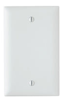 Legrand TP13 Thermoplastic Blank Wall Plate