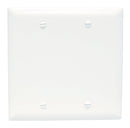 Legrand TP13 Thermoplastic Blank Wall Plate