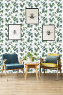 Light Eucalyptus Leaves Wallpaper