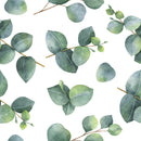 Light Eucalyptus Leaves Wallpaper
