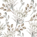 Light Protea Flower Wallpaper