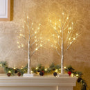 2ft Lighted Indoor & Outdoor Birch Tree