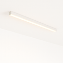 Ligne Ceiling Light