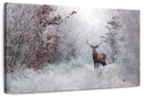 Deer Wall Art