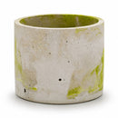 Lime & Gray Concrete Flower Pot | 6" x 4.75" x 4.75" | Color Crete Creations