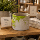 Lime & Gray Concrete Flower Pot | 6" x 4.75" x 4.75" | Color Crete Creations