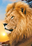 Lion King WD070 10.6 x 14.9 inches Wizardi Diamond Painting Kit