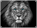 Lion Head Print Metal Wall Art – Wildlife Majestic Animal Wall Decor