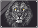 Lion Head Print Metal Wall Art – Wildlife Majestic Animal Wall Decor