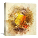 Little Bird Canvas