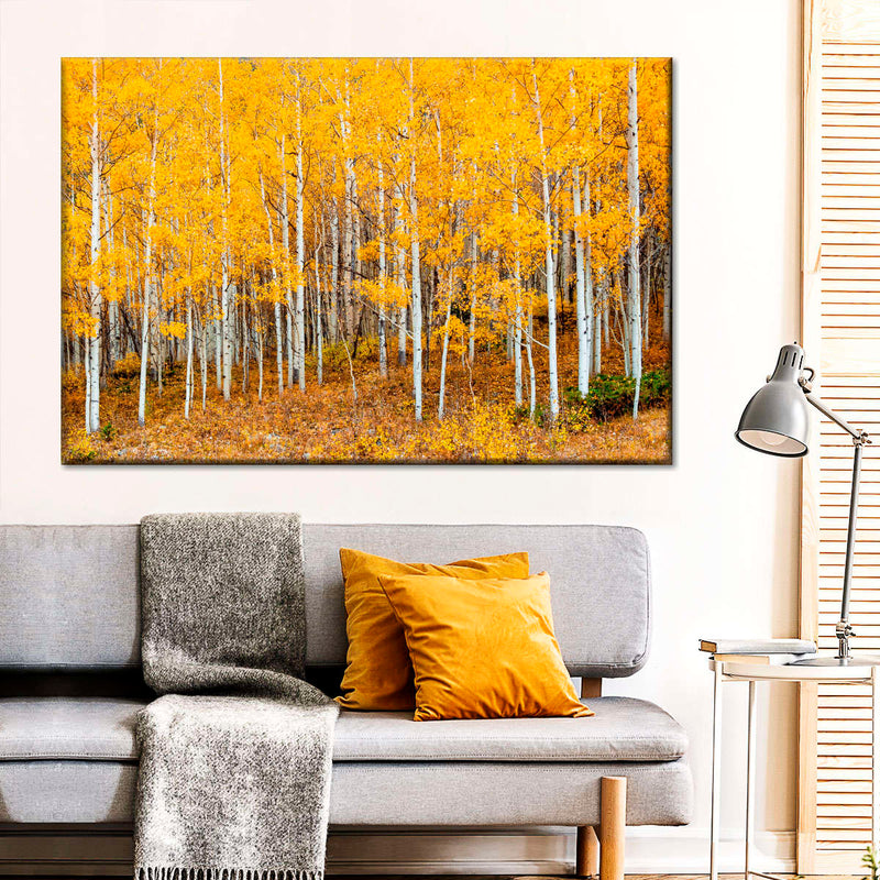 Colorado Aspen Forest Wall Art