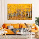 Colorado Aspen Forest Wall Art