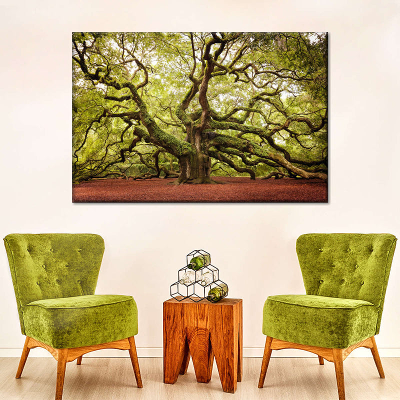 Charleston Angel Oak Tree Wall Art