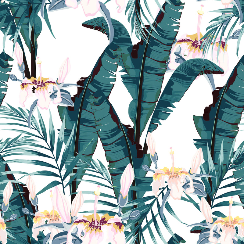 Lovely Banana Leaves Wallpaper