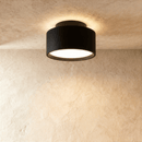 Lucinda Ceiling Light