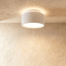 Lucinda Ceiling Light