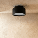 Lucinda Ceiling Light
