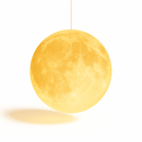 Lunar Pendant Light - Open Box