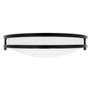 Luxrite  LR2329 Black LED Surface Mount Selectable CCT