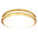 Luxrite  LR2329 Brass Surface Mount Selectable CCT